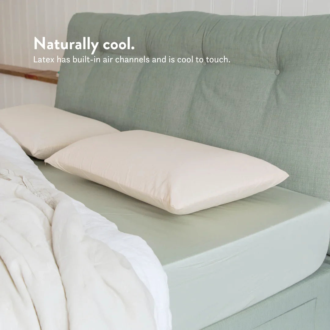 Graphite Latex Pillow & Wool Duvet Set - Bundle