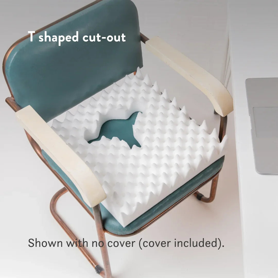 Ischial Bursitis Cushion