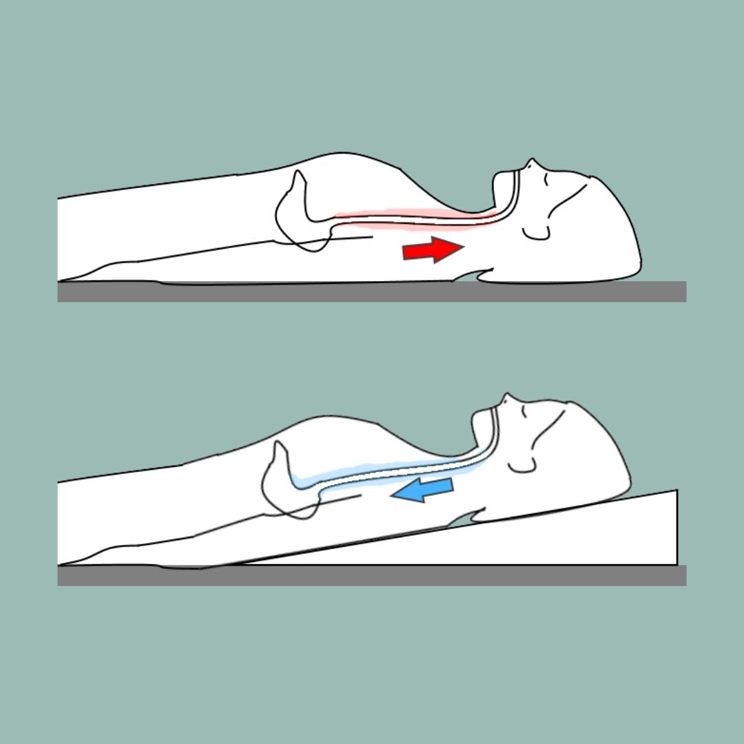 Respiratory, Pneumonia, Flu Bed Wedge Pillow