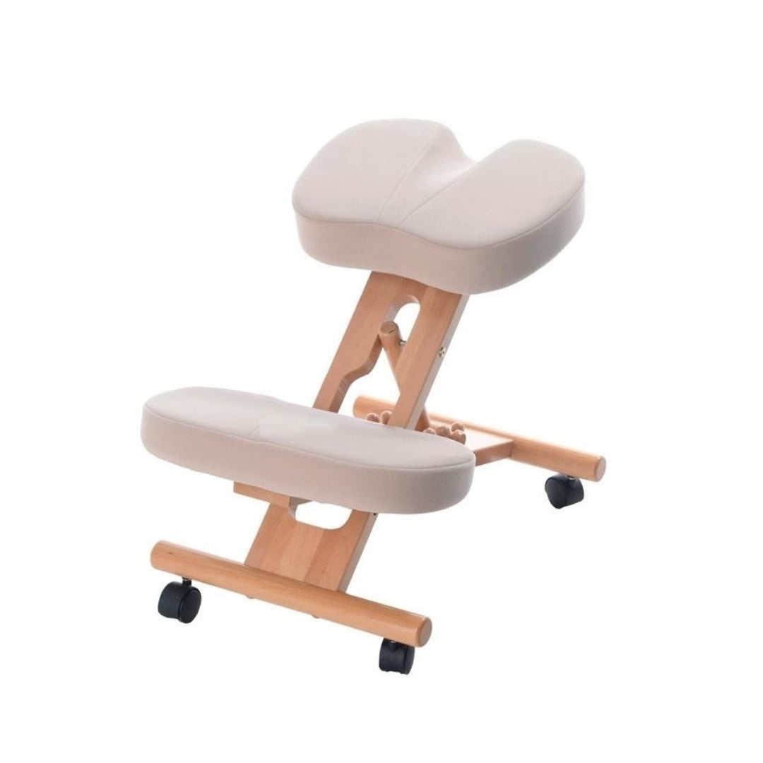 Coccyx Posture Chair