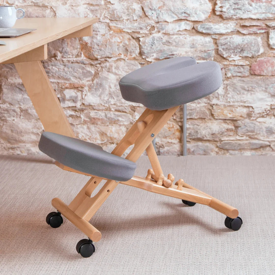 Coccyx Posture Chair