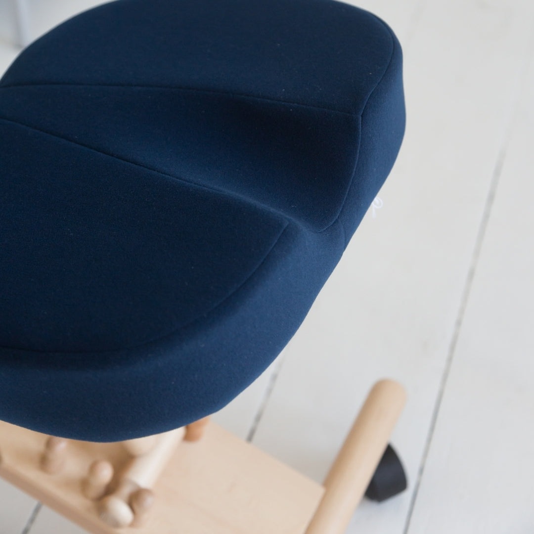 Coccyx Posture Chair
