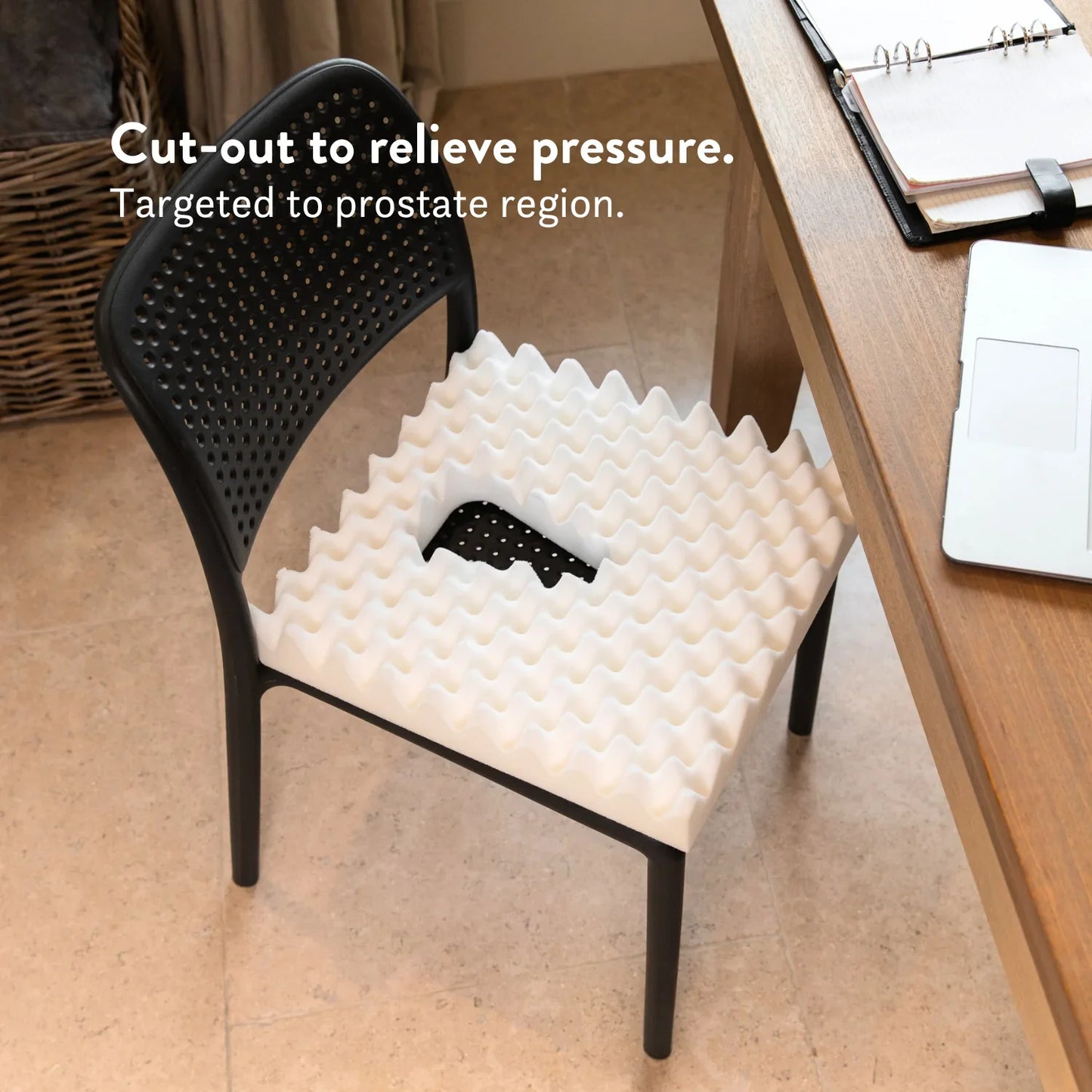 Prostate Cancer & Prostatitis Cushion