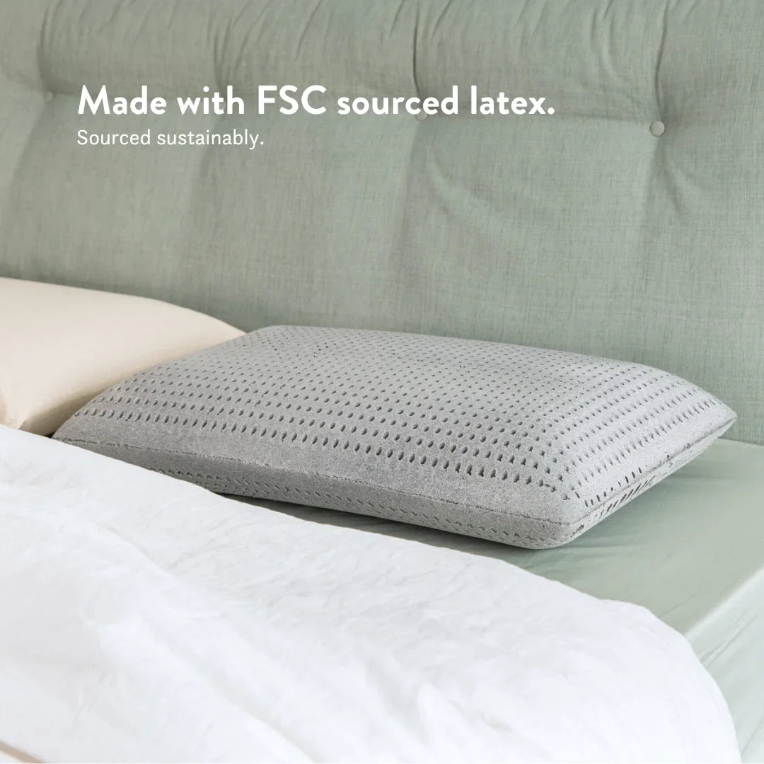 Graphite Latex Pillow & Wool Duvet Set - Bundle