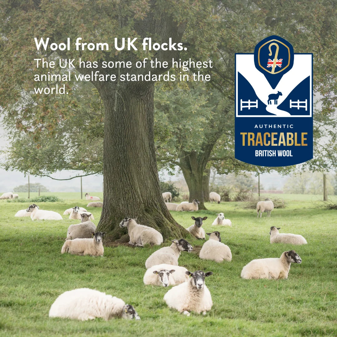 Summer British Wool Duvet & 100% Cotton (4-7 Tog)