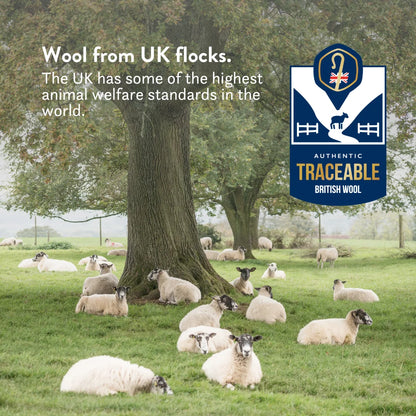Winter British Wool Duvet & 100% Cotton (11-14 Tog)